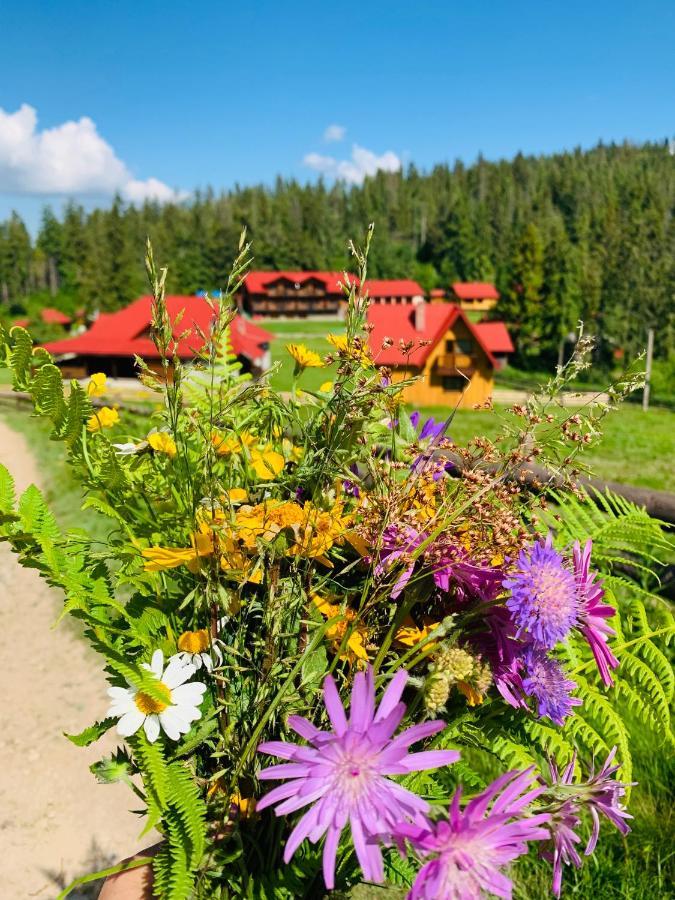 Baza Vidpochynku Ilz Villa Slavskoje Eksteriør bilde